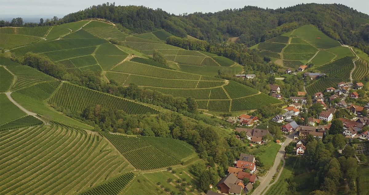 green-hills-and-fields.jpg
