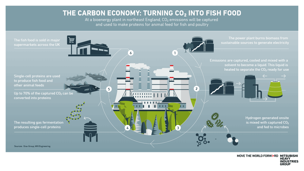 Bioenergy CCS