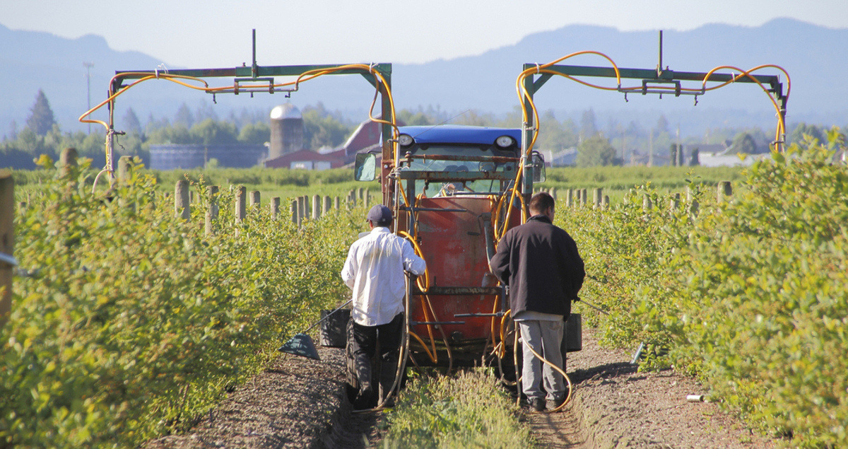 Across the world, greater access to fertilizer is essential for feeding communities