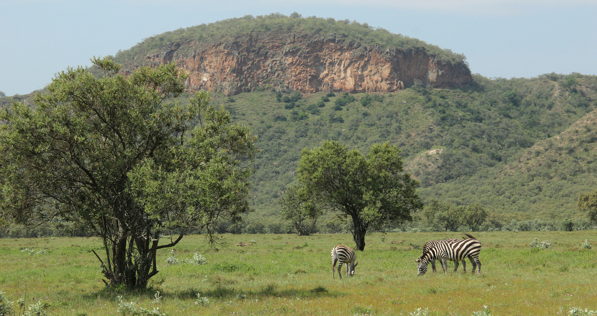 Lying beneath Hell’s Gate National Park in Kenya is an almost unlimited energy source already being utilized