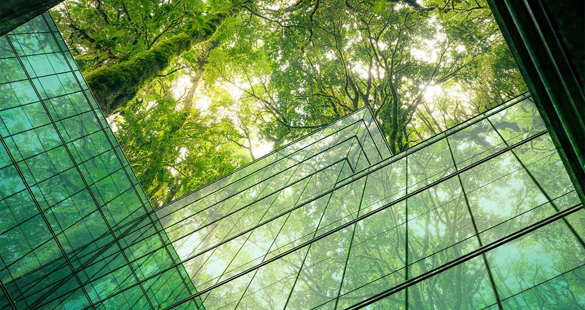 Driving forward decarbonization with Positive Impact Finance