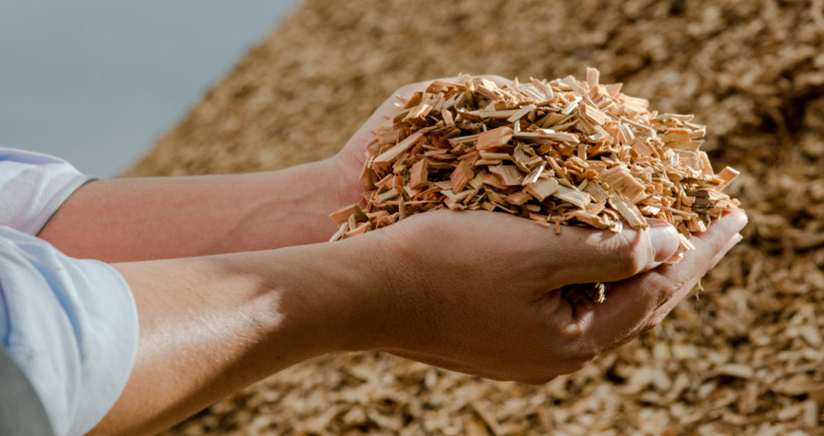 Local waste wood can be chipped and used as biomass with CCUS to help power a circular economy