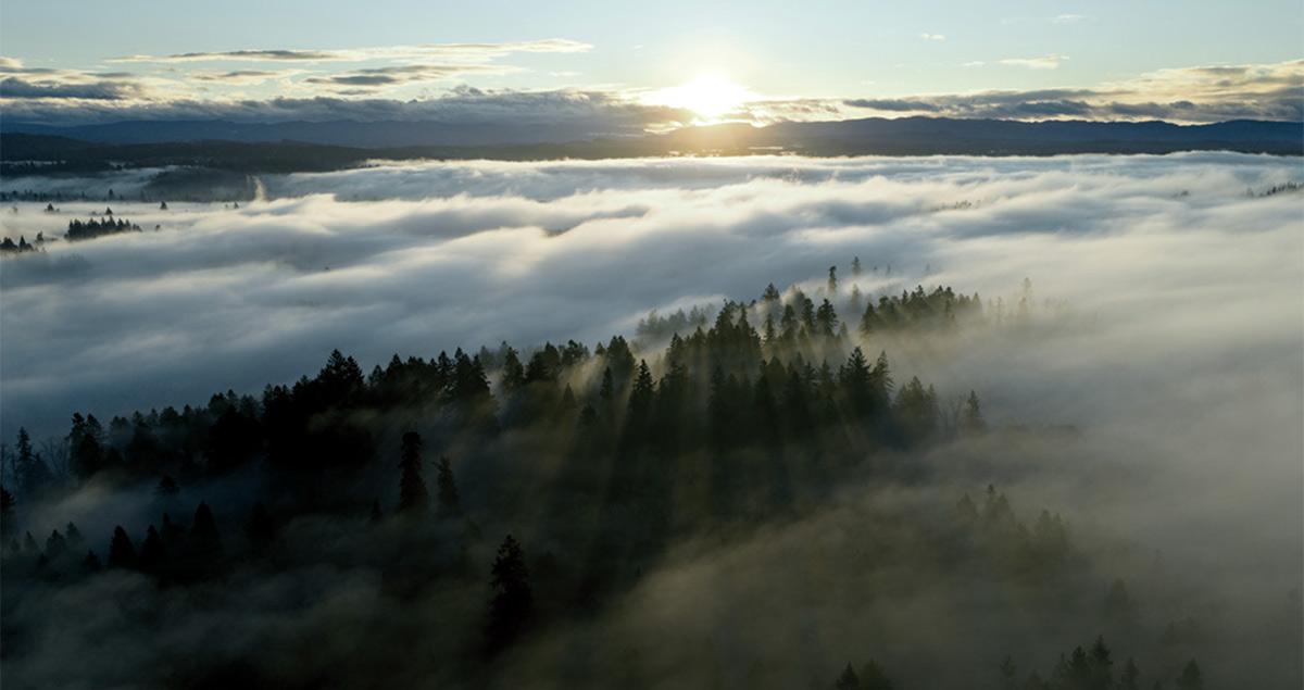 The New Realism: Decarbonization Priorities in Leadership and Technology