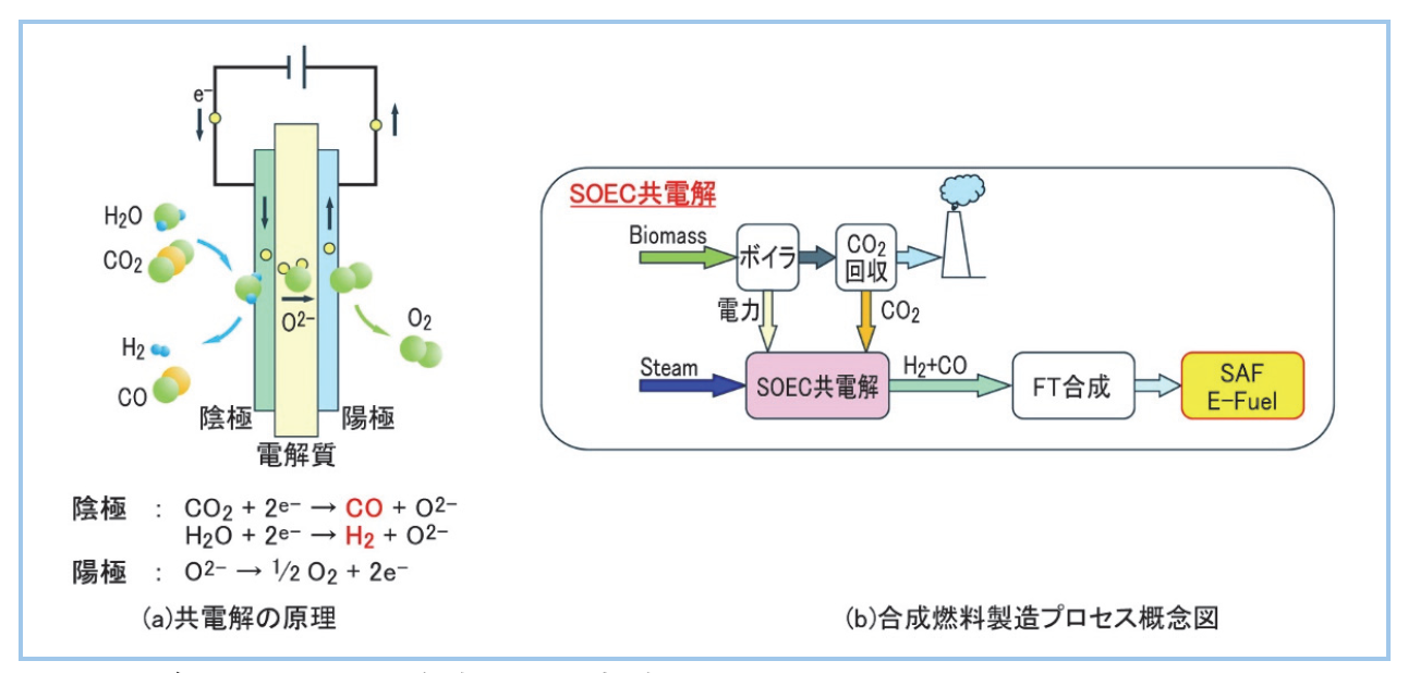 共電解の原理と SAF 合成プロセス概念図