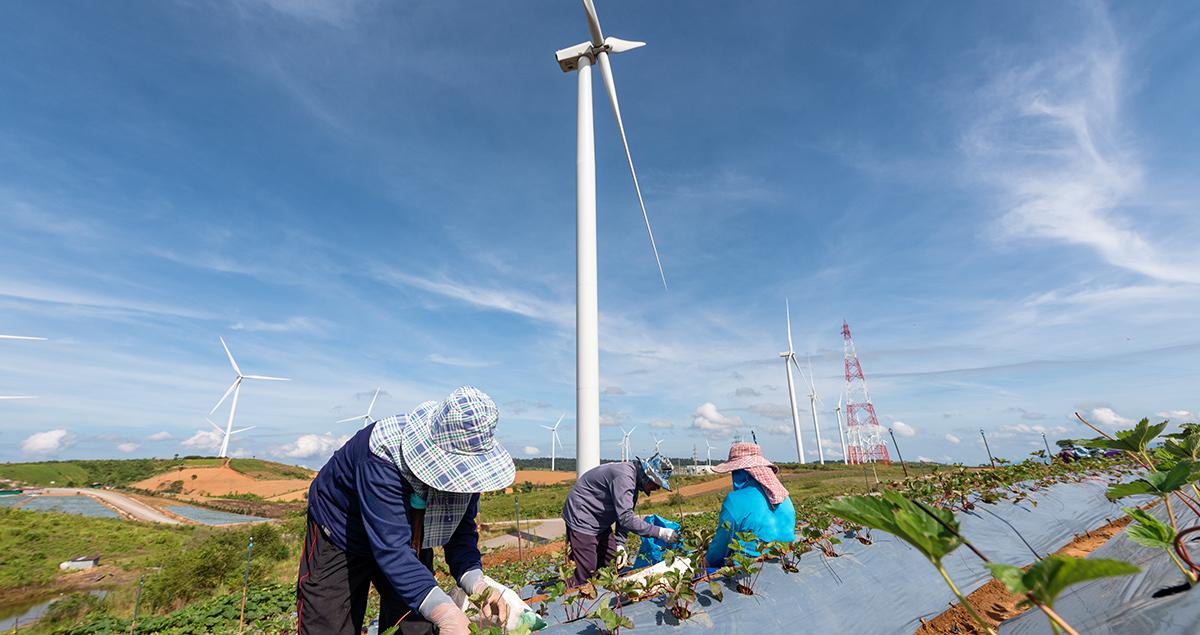 Apac-needs-at-least-US-_26t-and-a-clearer-framework-to-achieve-net-zero.jpg