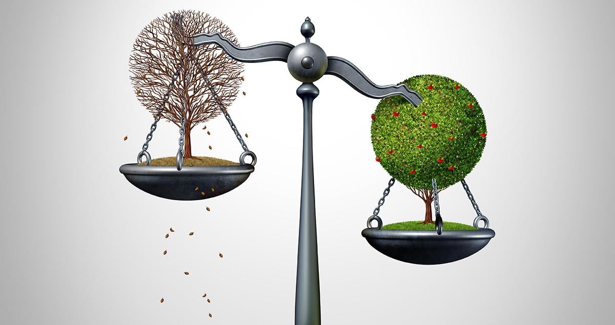 Economic-disparities-differing-policies-holding-back-Aseans-energy-transition-plans.jpg