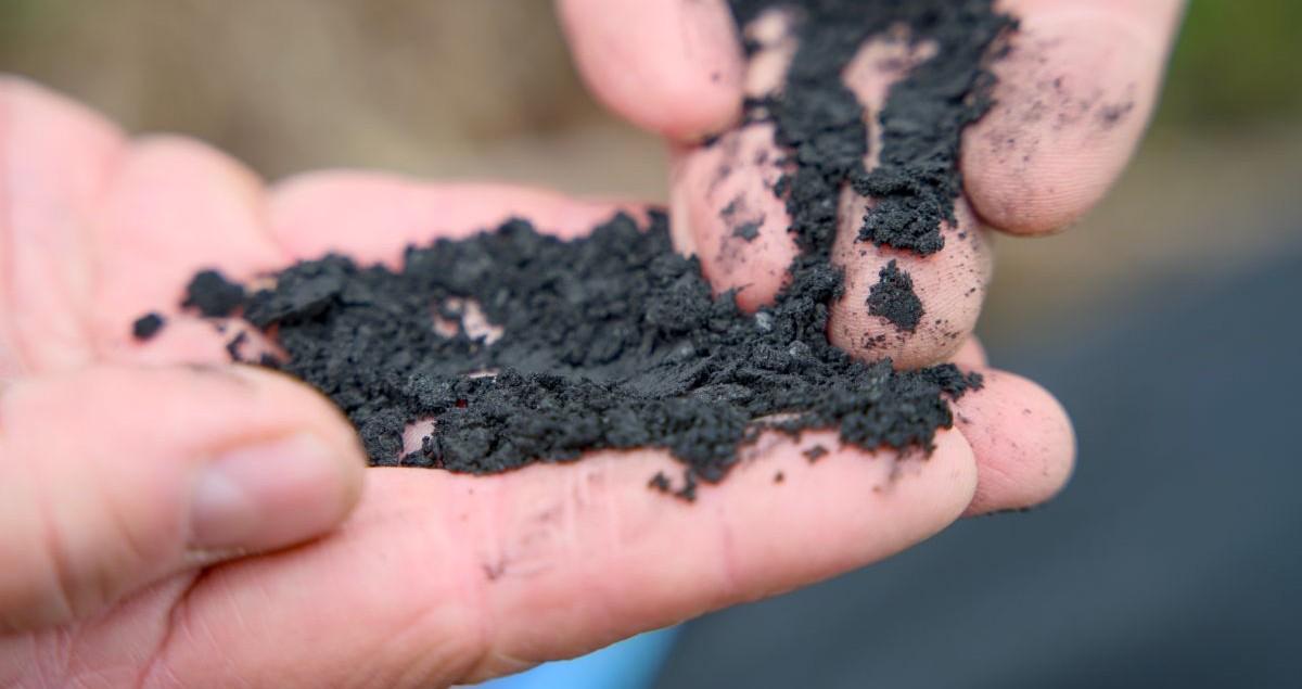 What-is-biochar-and-how-can-it-help-with-decarbonization.jpg