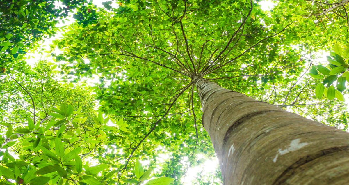 What-is-the-co2-value-chain-and-why-is-it-key-for-net-zero.jpg