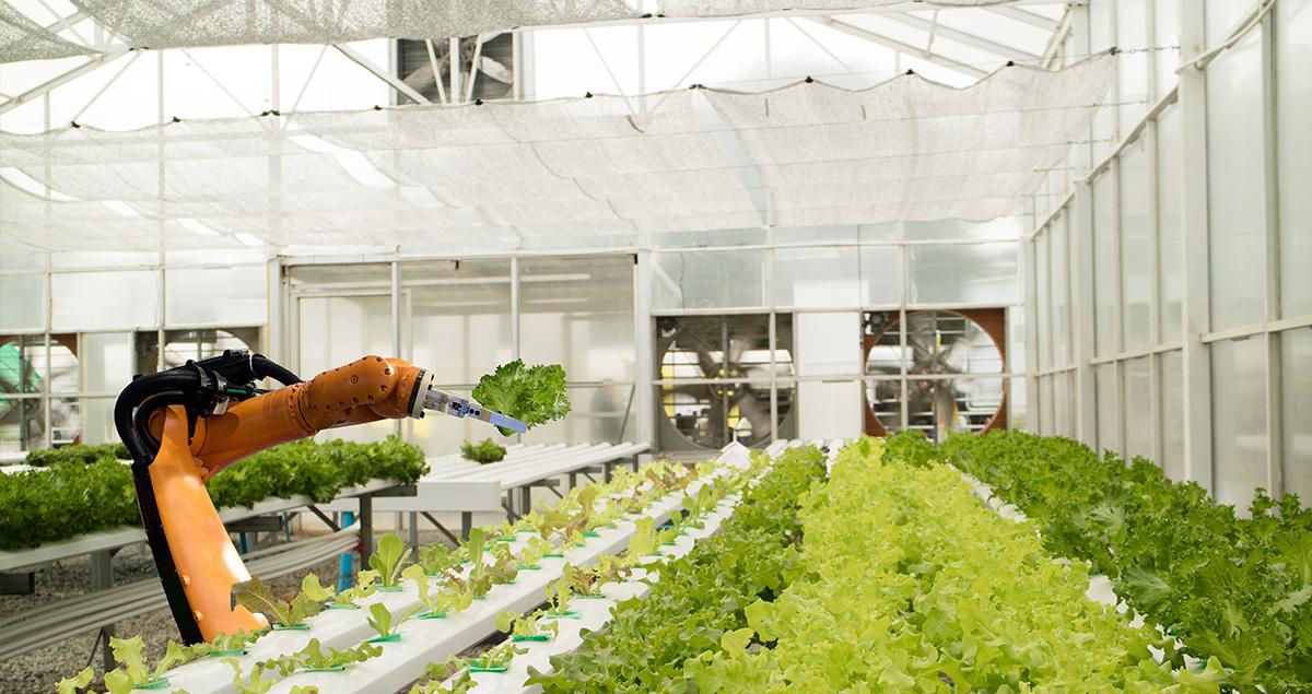 precision-farming-will-feed-the-world-the-green-way-1.jpg